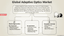 a diagram showing the global adaptive optics market size