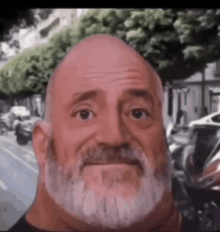 a bald man with a beard is standing in front of a city street .