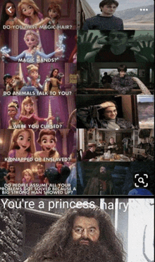 a collage of harry potter and princesses with the caption " you 're a princess hairy "