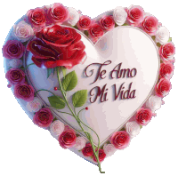 a heart with roses around it and the words te amo mi vida written on it