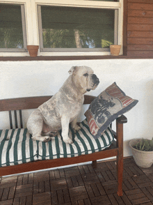 a dog is sitting on a bench with a pillow that says motorcycle on it