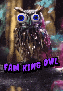 a colorful owl with big blue eyes sits on a branch with the words fam king owl above it