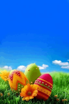 three easter eggs are sitting in the grass with flowers .