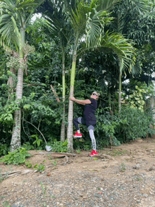 a man climbs a palm tree wearing a black shirt that says gucci on it