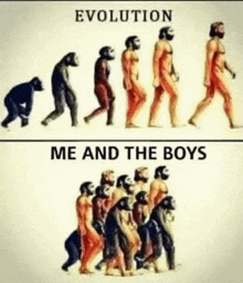 a picture of a monkey 's evolution and a picture of a group of men 's evolution .