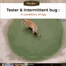 a computer screen shows a tiger and the words " tester & intermittent bug a lovestory of spy "