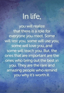 in life you will realize that there is a role for everyone you meet some will test you some will use you some will love you and some will teach you.