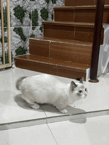 a white cat is walking on a tiled floor near stairs