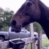 a horse standing next to a fence with a truck in the background and a bowl of food in front of it .