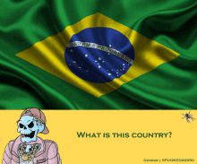 a cartoon of a skeleton standing in front of a brazilian flag with the question " what is this country "