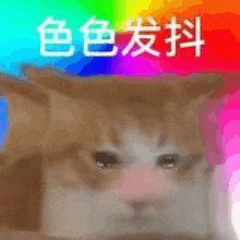 a cat is sitting in front of a rainbow background with chinese writing on it .