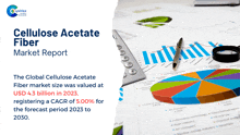 a cellulose acetate fiber market report with a pie chart and magnifying glass