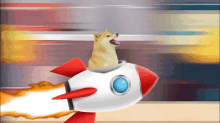 a dog is riding a rocket with a blue eye on it