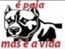 a black and white drawing of a dog with the words `` e paia mas e a vida '' .