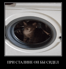 a cat is sitting in a washing machine with a foreign language caption