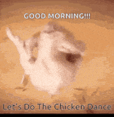 a picture of a chicken with the words good morning let 's do the chicken dance on it