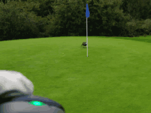 a dog on a golf course with a green light on