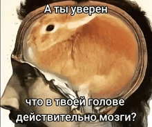 a painting of a man 's head with a rabbit in it and the caption " a ты уверен "