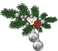 a branch of a christmas tree with silver balls and red berries