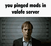 a man in a suit stands in front of a police lineup with the words " you pinged mods in valofe server " above him