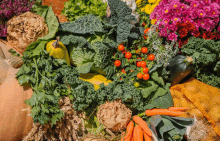 a bunch of vegetables including carrots and tomatoes are on a table