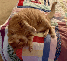 a cat is laying on its back on a quilt