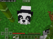 a screenshot of a minecraft game shows a panda bear in the grass