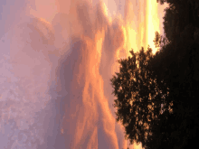 a tree silhouetted against a sunset sky with clouds