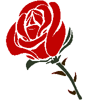 a red rose with a black stem and leaves