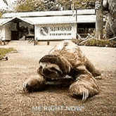 a sloth is laying on the ground in front of a building and a sign that says `` me right now '' .