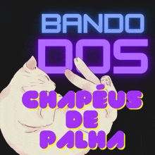 a poster with a cat and the words bando dos chapeus de palma