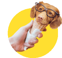 a person is holding an ice cream cone that looks like a dog with glasses on