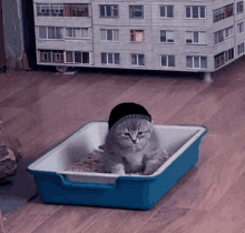 a cat wearing a black hat is sitting in a litter box