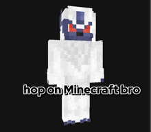 a minecraft character with the words hop on minecraft bro