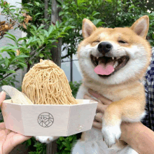 a dog with its tongue hanging out is being held by a person holding a bowl of noodles