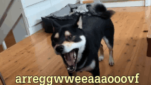 a dog with its mouth open and the words arreggwweeeeaaoovf written on the bottom