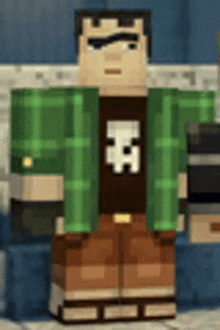 a minecraft character wearing a green plaid shirt and brown shorts is standing in a room .