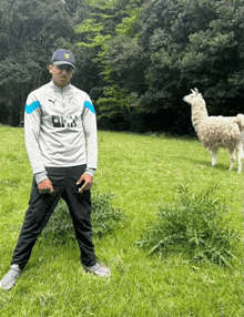 a man in a puma shirt stands in a grassy field