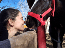 a woman is kissing a horse on the nose