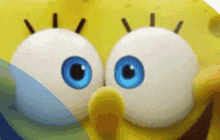 a close up of spongebob 's eyes with a blue background