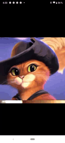 a close up of a cat wearing a cowboy hat on a phone screen