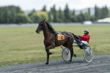 a horse with the number 2 on it is being pulled by a rider