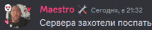 maestro x is written in red on a gray background