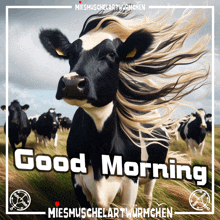 a picture of a cow with the words good morning written on it