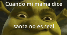 shrek 's face with the words cuando mi mama dice santa no es real on the bottom