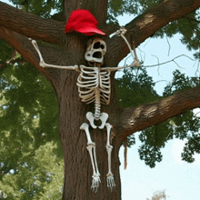 a skeleton in a tree with a red hat on his head