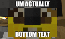 a picture of a minecraft character with the words um actually bottom text