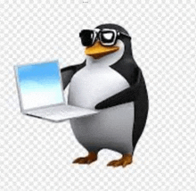 a penguin wearing sunglasses and holding a laptop .