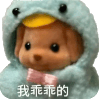 a stuffed animal is wearing a duck costume and has chinese writing on it .