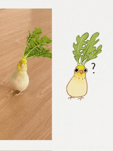 a picture of a bird next to a drawing of a bird with a plant on its head